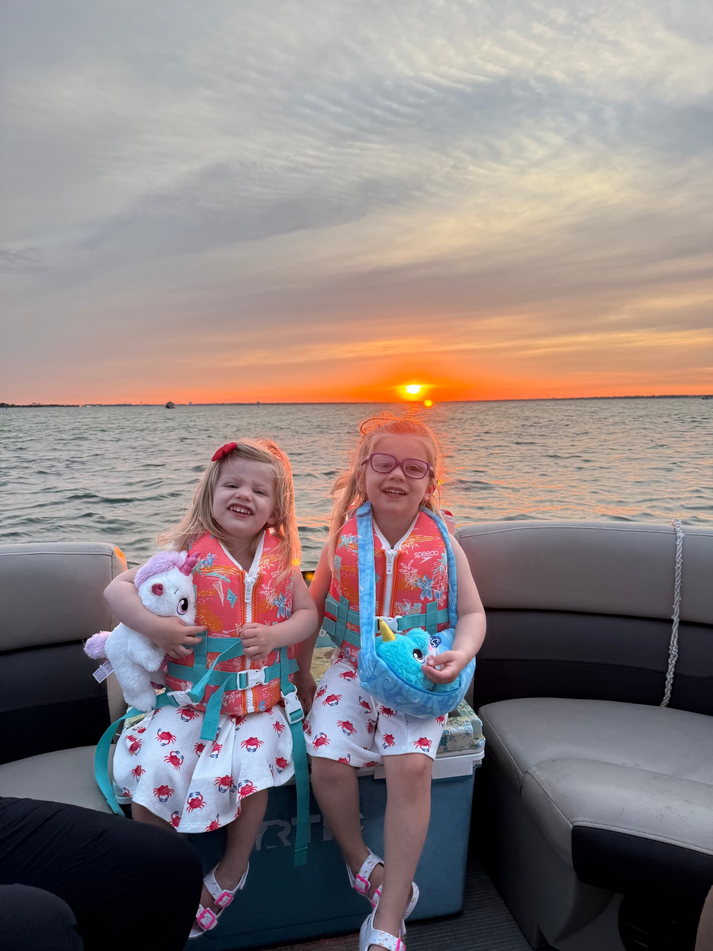 Dolphin Sunset Cruise up to 18 passengers