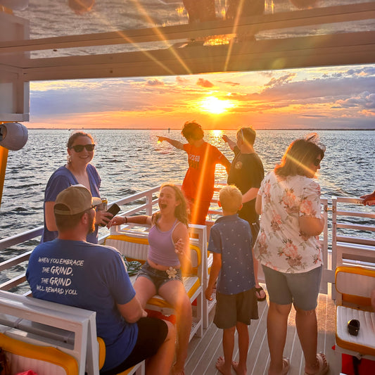 Dolphin Sunset Cruise up to 18 passengers