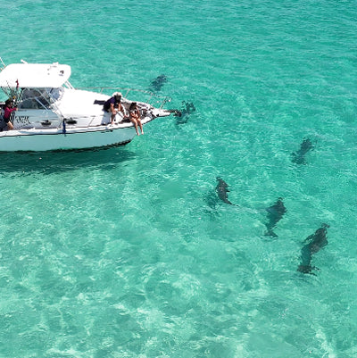 Ohana Time Sunrise Cruise up to 6 Passengers