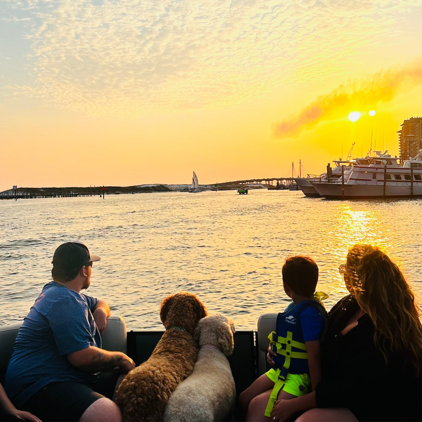 Dolphin Sunset Cruise up to 18 passengers