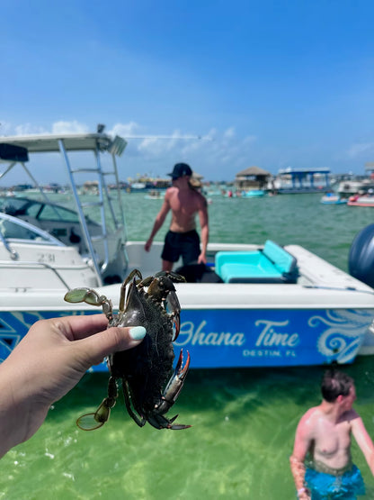 Captained Adventure: Ohana Time Up To 6 People