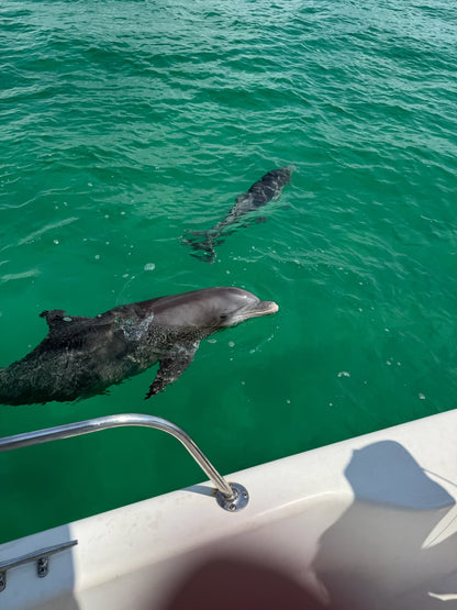 Captained Adventure: Ohana Time Up To 6 People