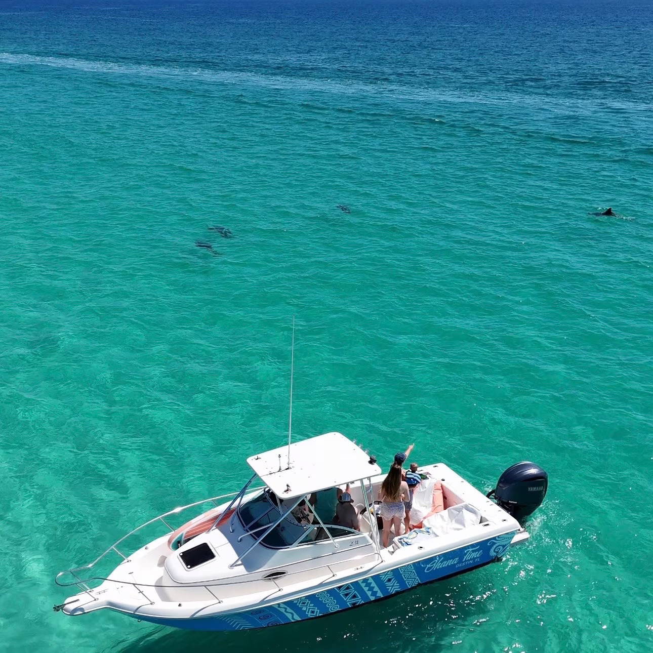 Captained Adventure: Ohana Time Up To 6 People