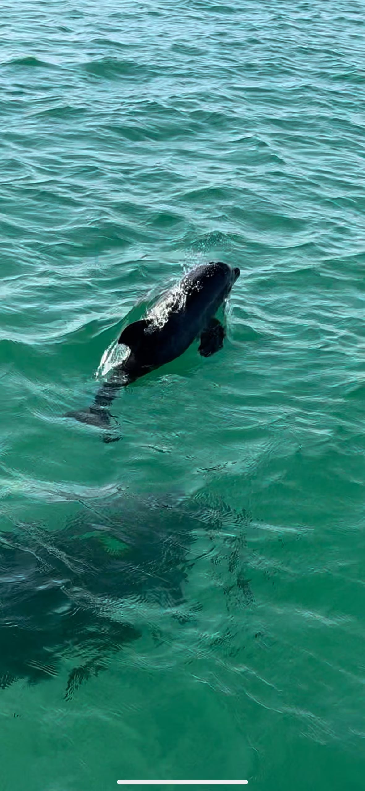 Captained Adventure: Ohana Time Up To 6 People