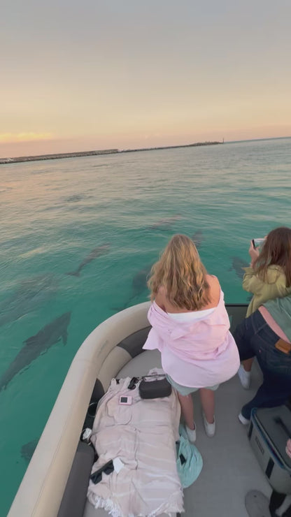 Public Destin Dolphin Sunset Cruise up to 16 passengers