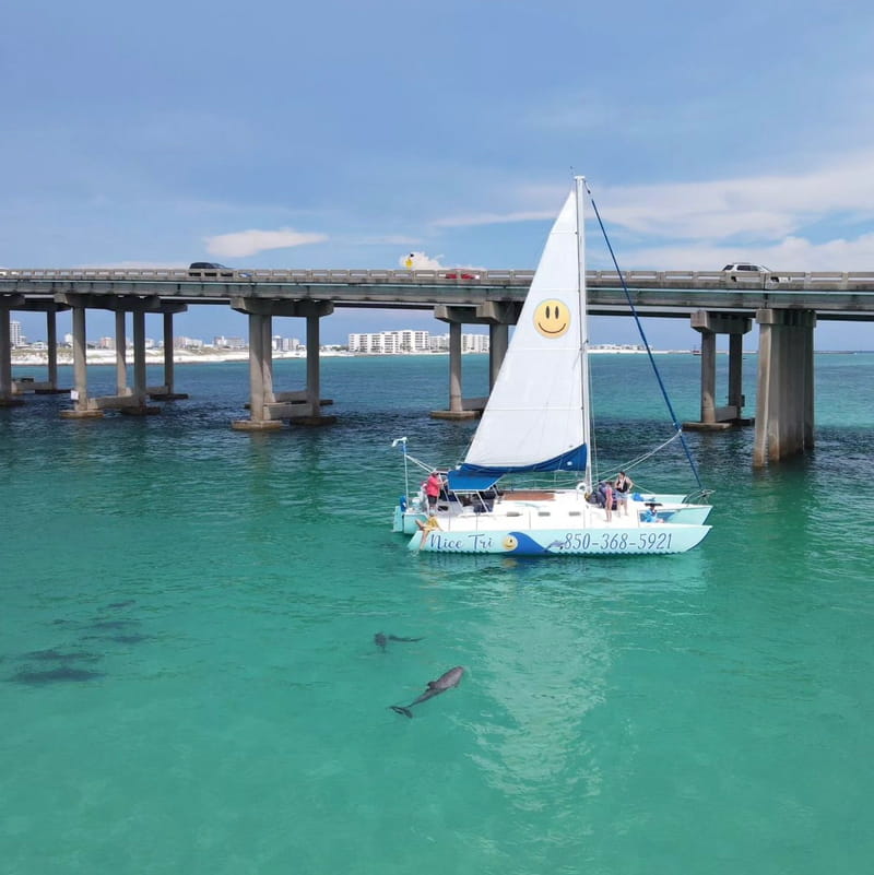 Bach Dolphin Sunset Party Sail-up to 6 passengers